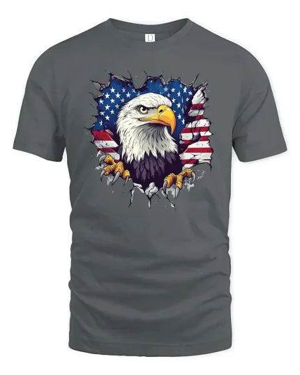 American Eagle Flag Patriotic Graphic T-Shirt USA Pride Tee - gray t-shirt on white background